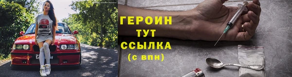 шишки Арсеньев