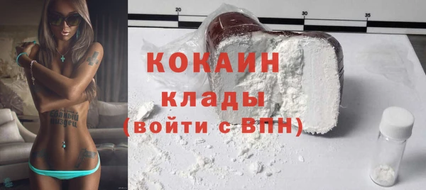 шишки Арсеньев