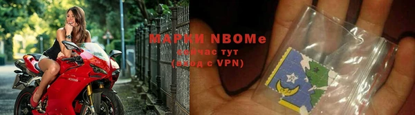 шишки Арсеньев