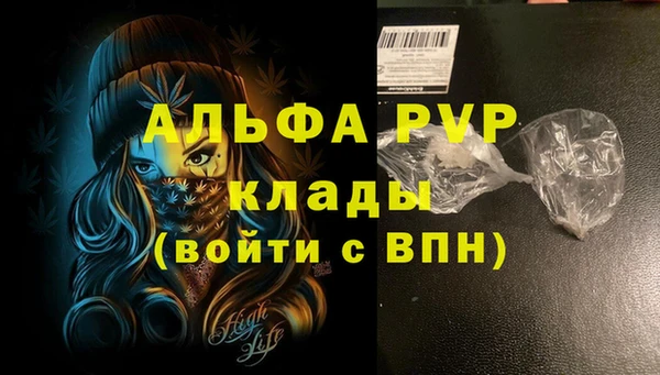 шишки Арсеньев