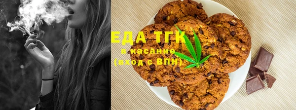 шишки Арсеньев