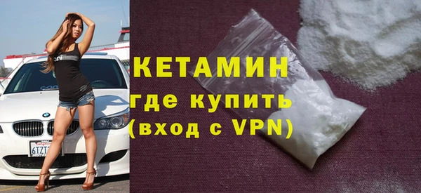 шишки Арсеньев