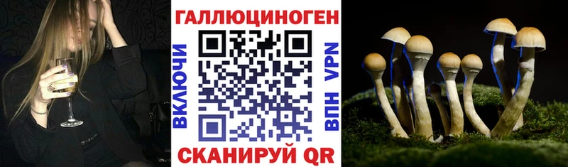 Купить где Рыльск Псилоцибиновые грибы ЛСД